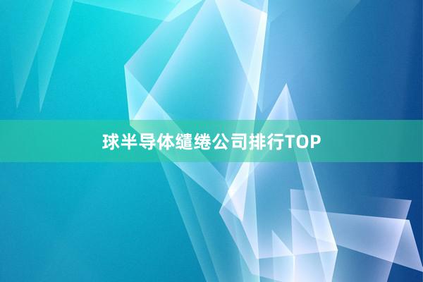 球半导体缱绻公司排行TOP